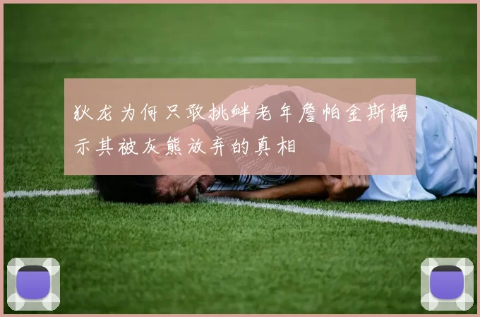 狄龙为何只敢挑衅老年詹帕金斯揭示其被灰熊放弃的真相