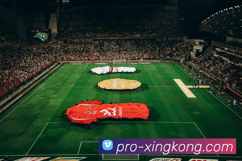 星空体育APP 封面图