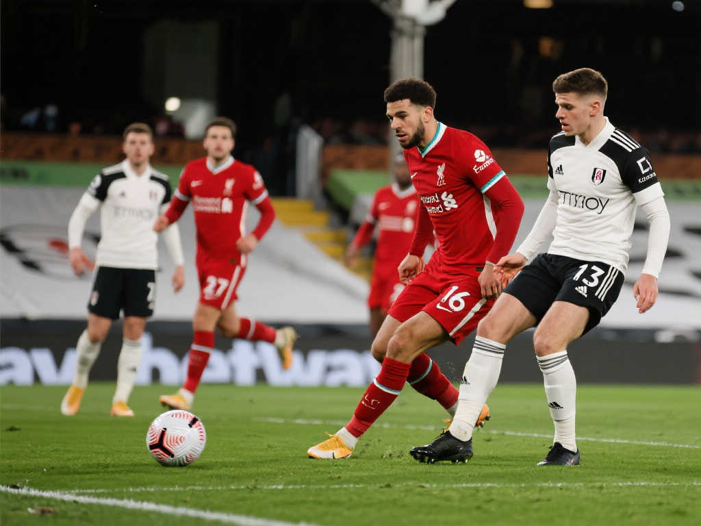 從J聯賽新 從J聯賽新